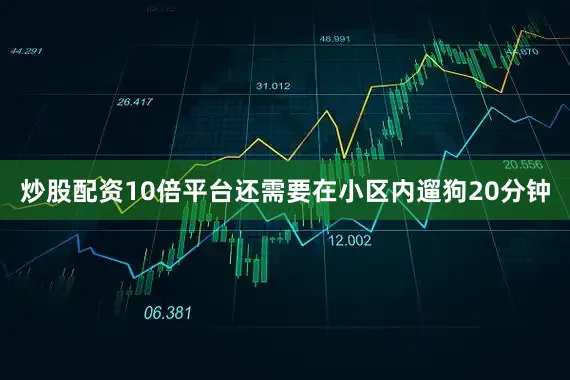 炒股配资10倍平台还需要在小区内遛狗20分钟