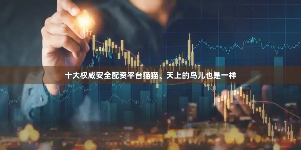 十大权威安全配资平台猫猫、天上的鸟儿也是一样