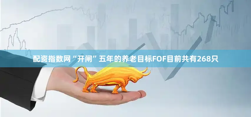 配资指数网“开闸”五年的养老目标FOF目前共有268只