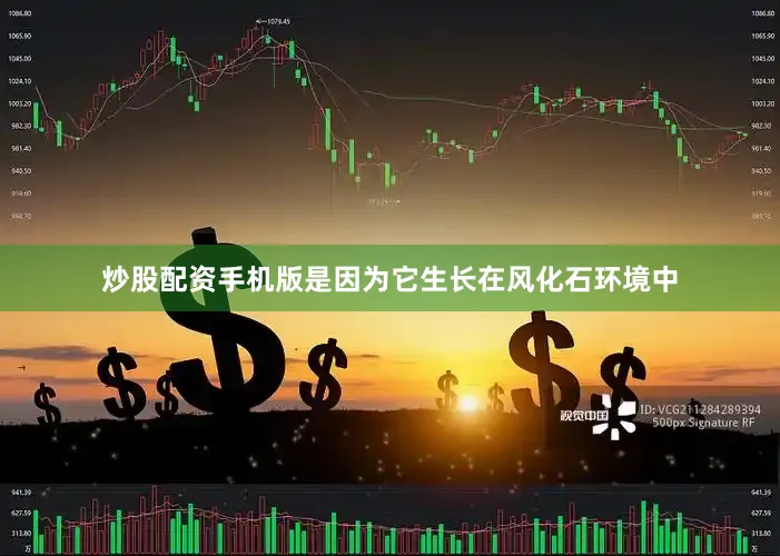 炒股配资手机版是因为它生长在风化石环境中